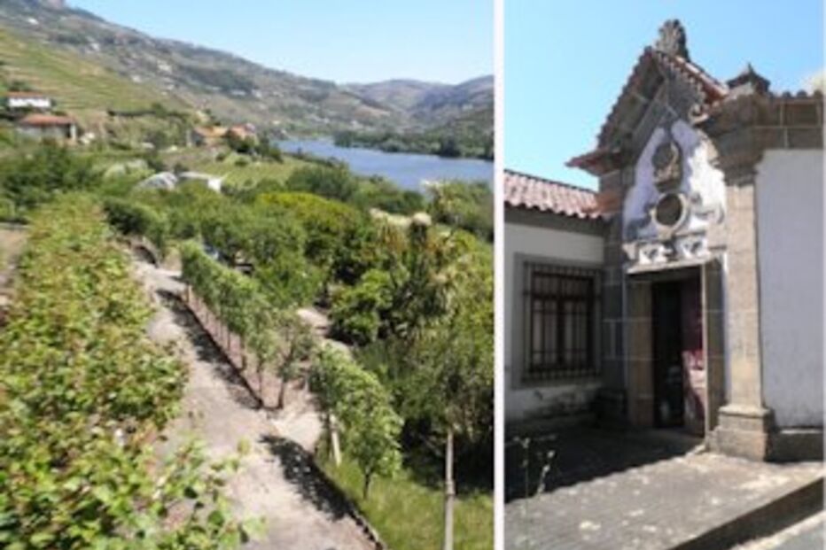 leilão, deserto, património, imóveis, milhões, casas