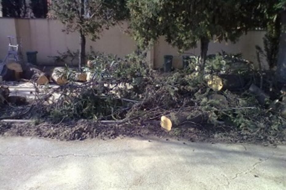 porto, gondomar, matosinhos, mau tempo, queda, árvores, habitações, desalojados