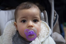 A grande festa da vida