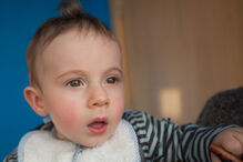 A grande festa da vida