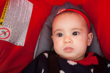 A grande festa da vida