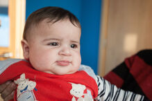 A grande festa da vida