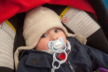 A grande festa da vida