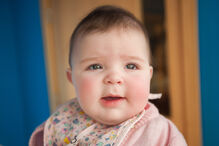 A grande festa da vida