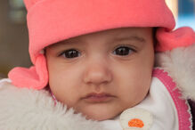 A grande festa da vida