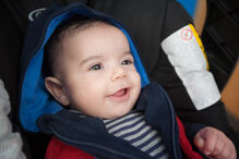 A grande festa da vida