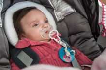 A grande festa da vida