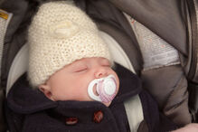 A grande festa da vida