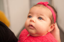 A grande festa da vida