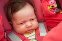 A grande festa da vida