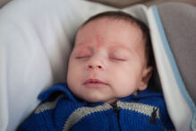 A grande festa da vida