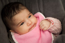 A grande festa da vida