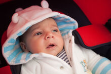 A grande festa da vida