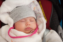 A grande festa da vida