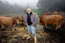 Fotogaleria de António Queirós 