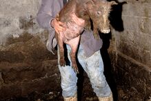 Fotogaleria de António Queirós 