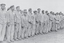 Holocausto, livro, O Voluntário de Auschwitz, Dia Internacional em Memória das Vítimas do Holocausto, casa Sukurcze, família Pilecki, Witold Pilecki 