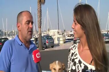 Mini, a cadela que nunca precisou de trela