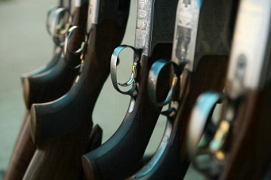 crime, banco, assalto, Gaia, caçadeira, cachecol