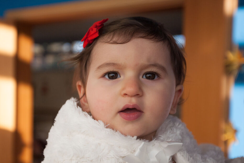 A grande festa da vida