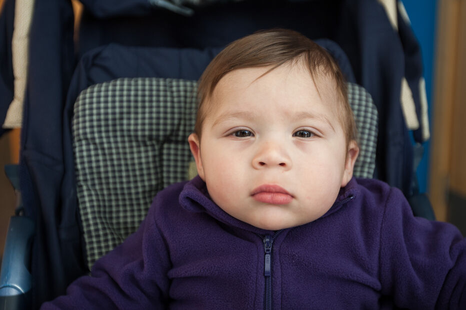 A grande festa da vida