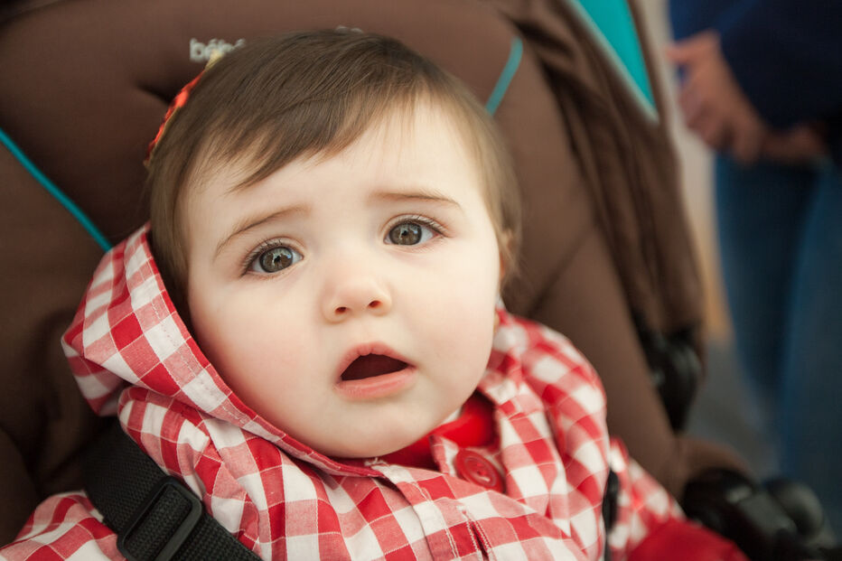 A grande festa da vida