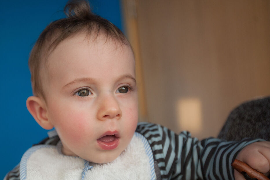 A grande festa da vida