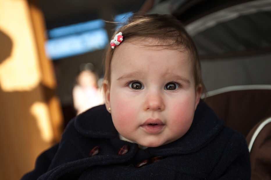 A grande festa da vida