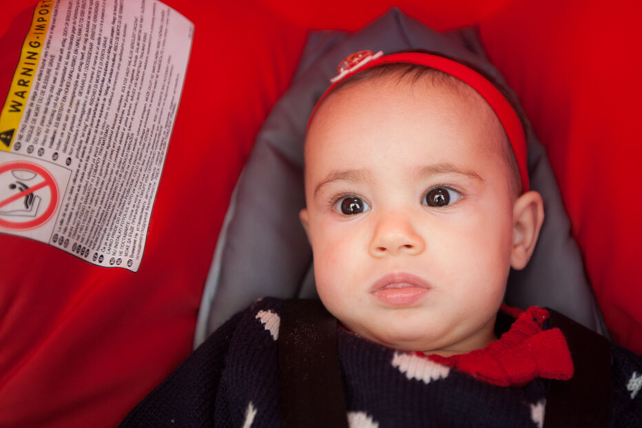 A grande festa da vida