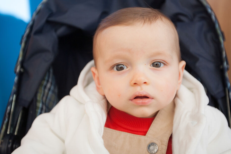 A grande festa da vida