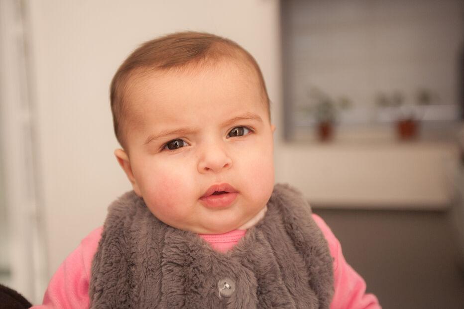 A grande festa da vida