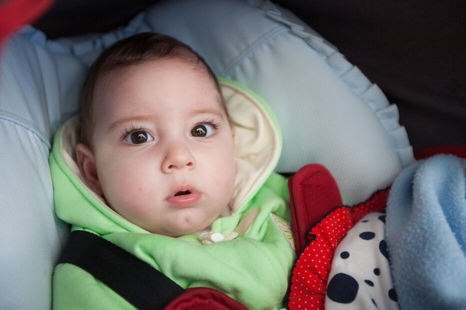 A grande festa da vida