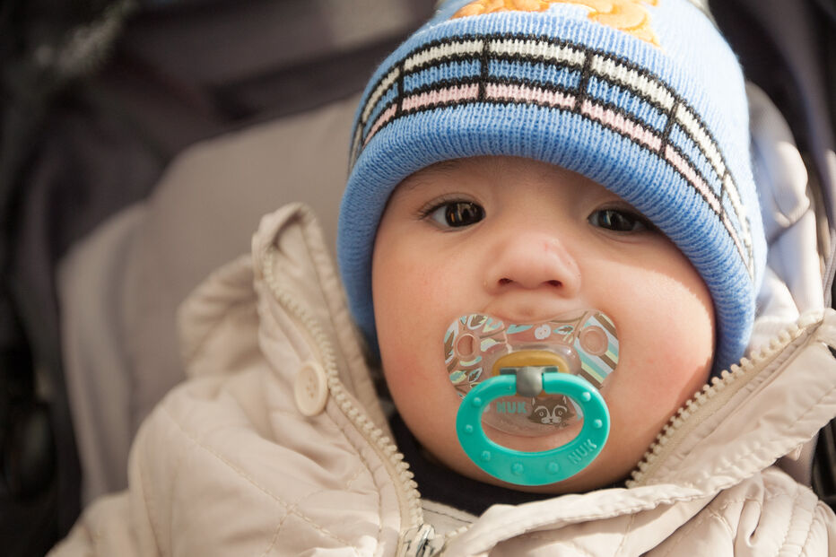 A grande festa da vida