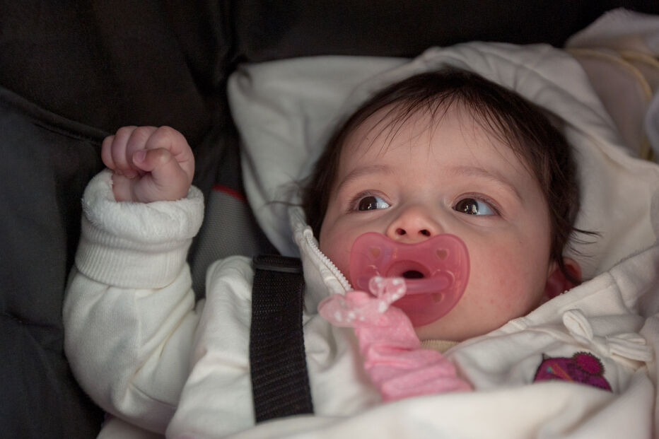 A grande festa da vida