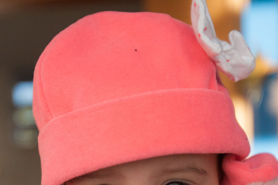 A grande festa da vida