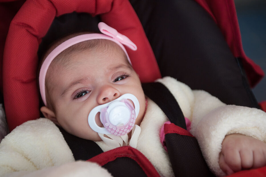 A grande festa da vida