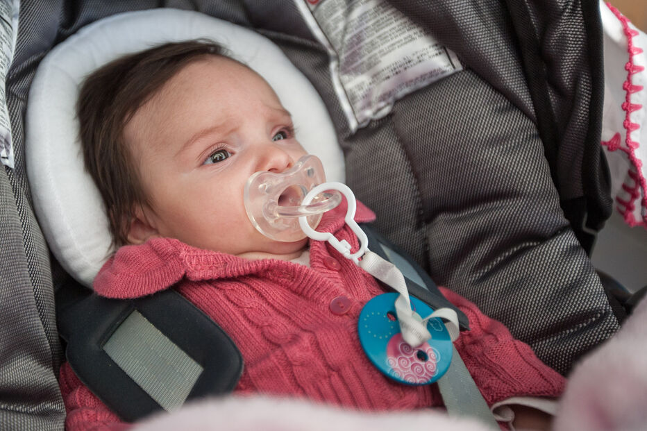 A grande festa da vida