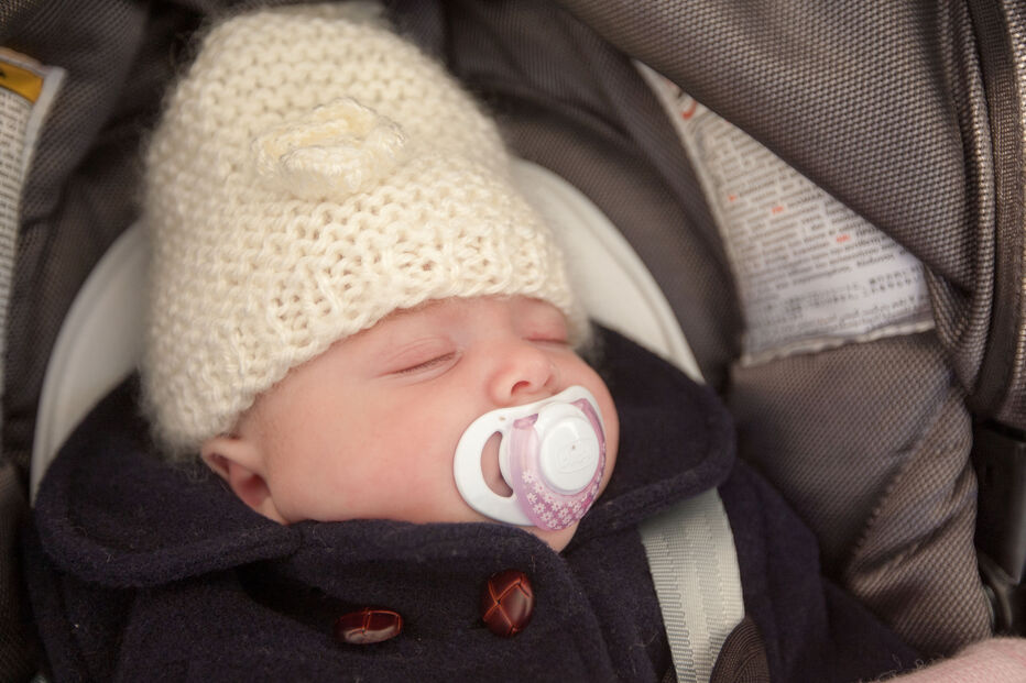 A grande festa da vida