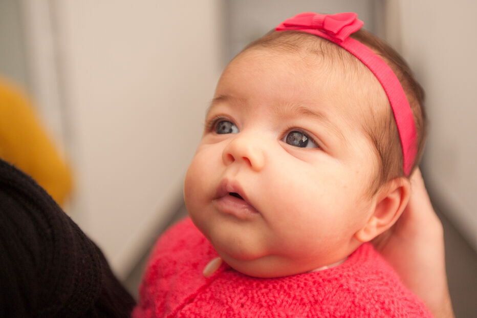 A grande festa da vida