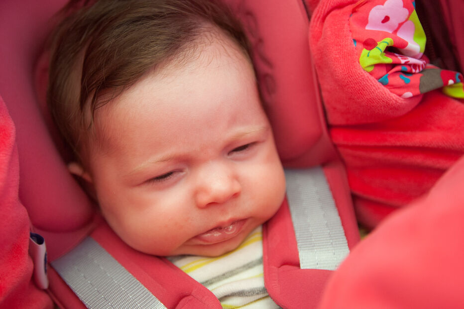 A grande festa da vida