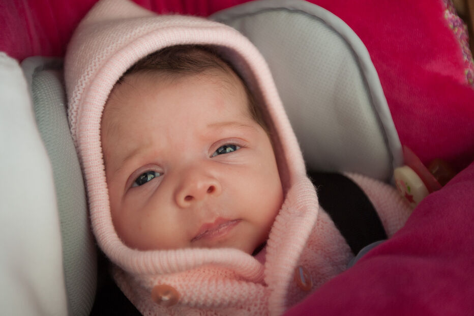 A grande festa da vida