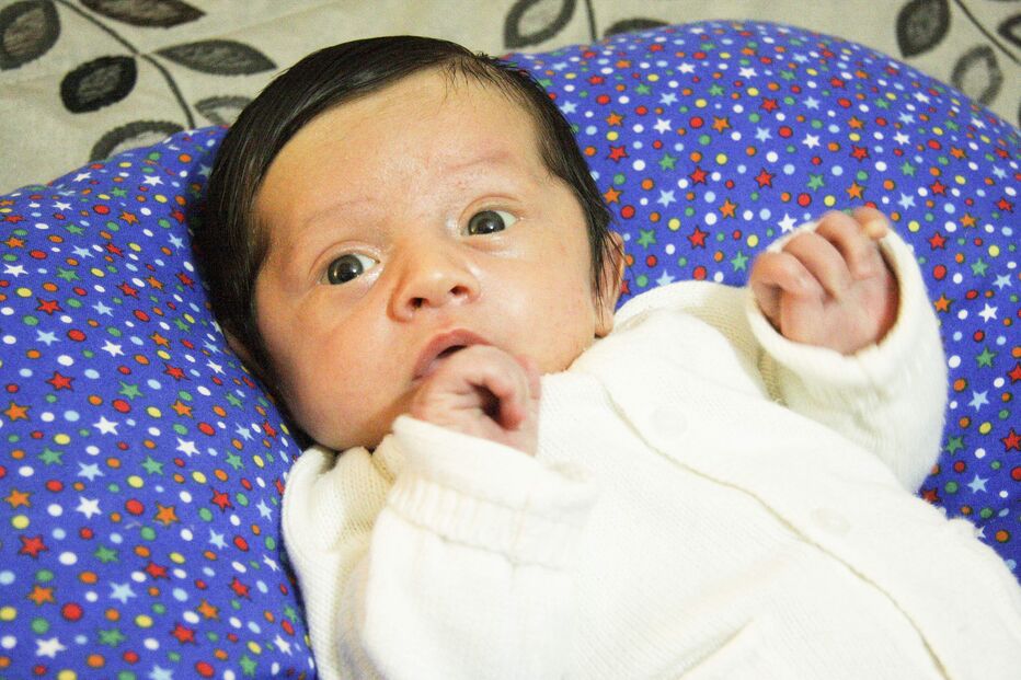 A grande festa da vida