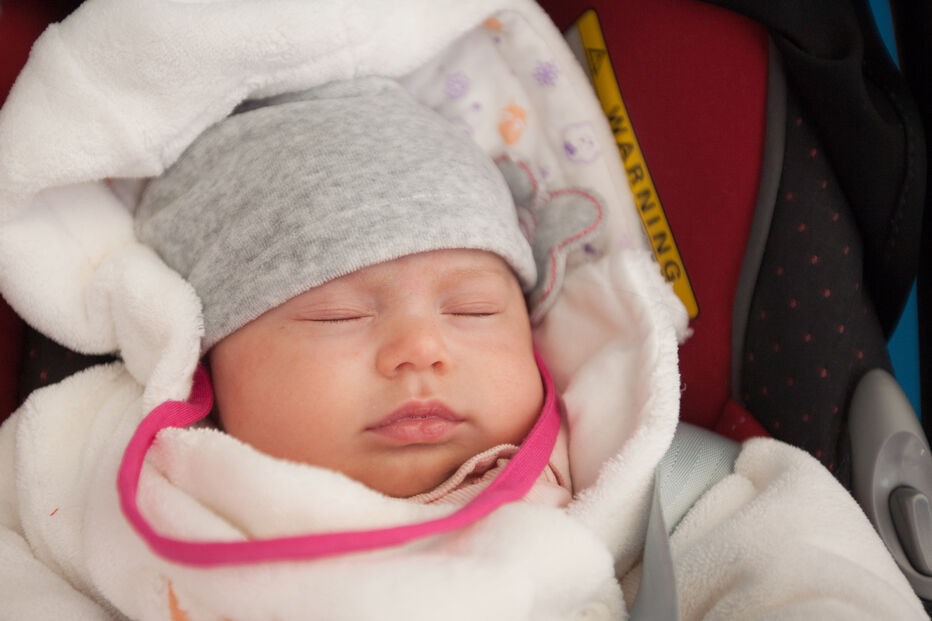 A grande festa da vida