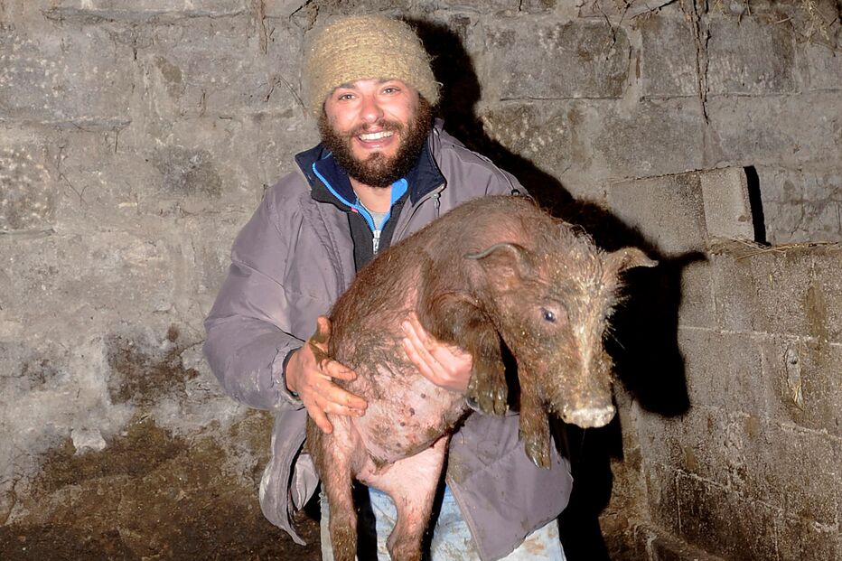 Fotogaleria de António Queirós 