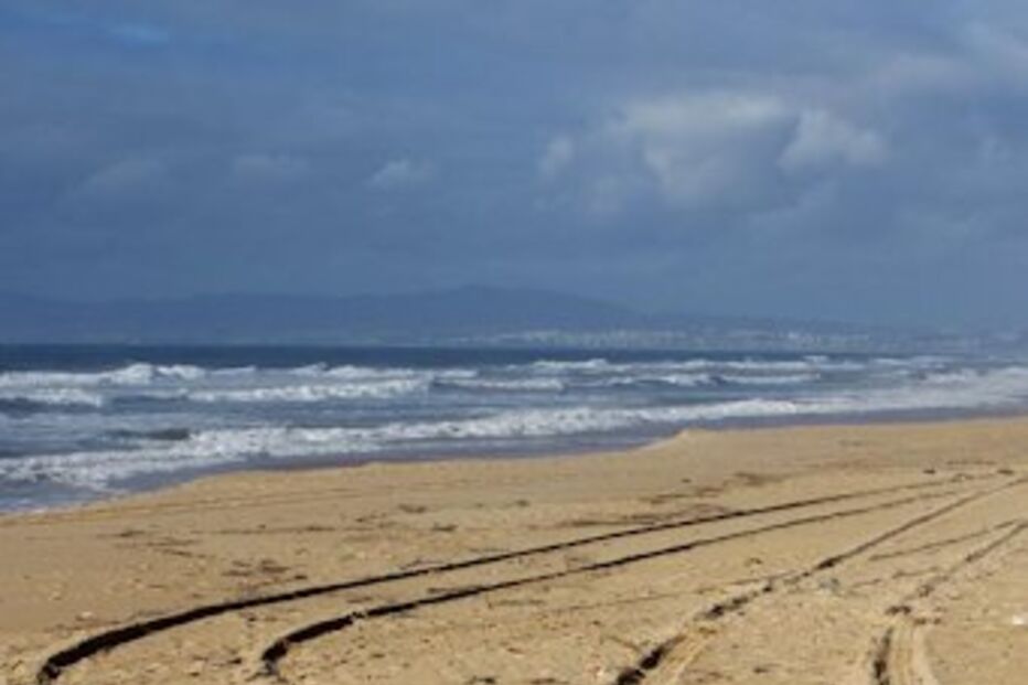 Explosivos, bombas, Marinha, Praia, Alcobaça