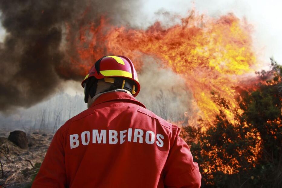 incêndios, fogos, florestas, portugal, noruega, oslo, francisco gomes da silva, secretário estado