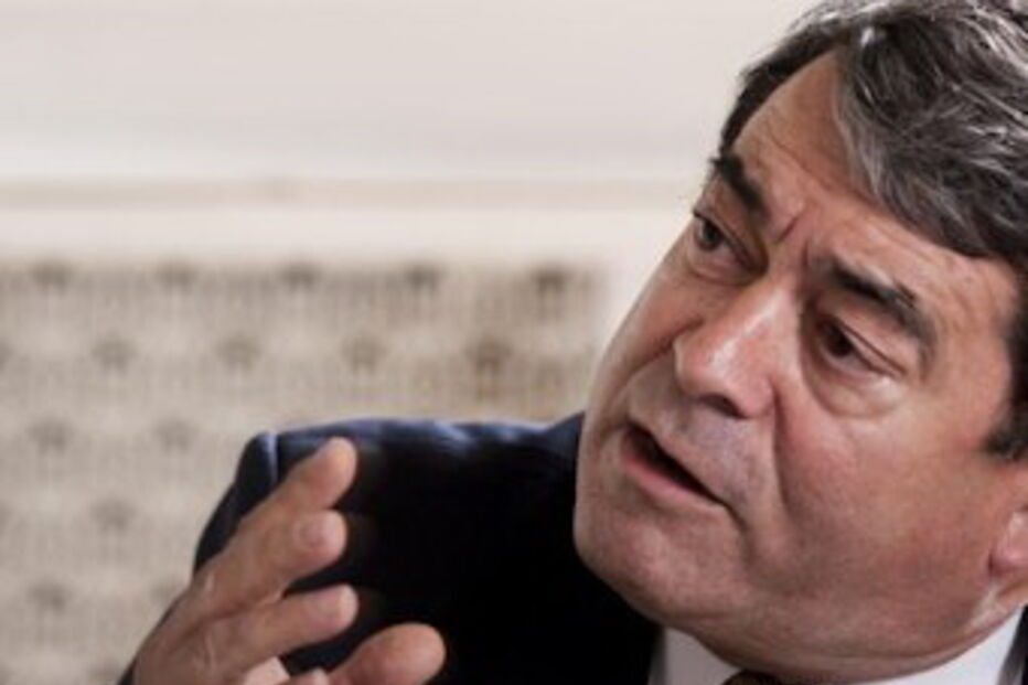 eleições, europeias, marinho, pinto, partido da terra