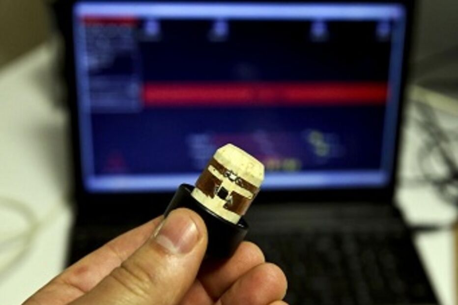 Aveiro, rolha, chip, vinho, Universidade de Aveiro, cortiça