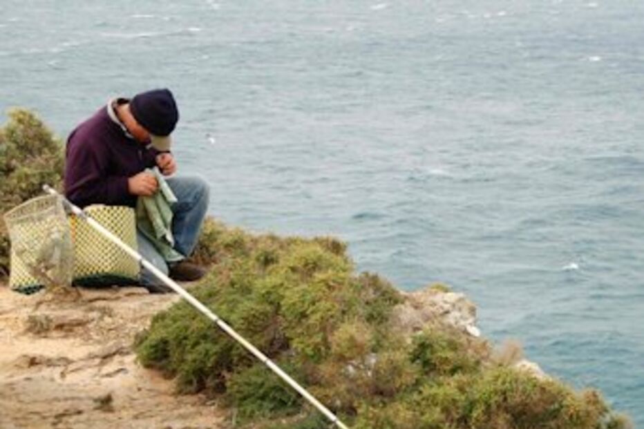 Governo, pescadores, Alentejo, pescado, marisco, costa vicentina, pesca