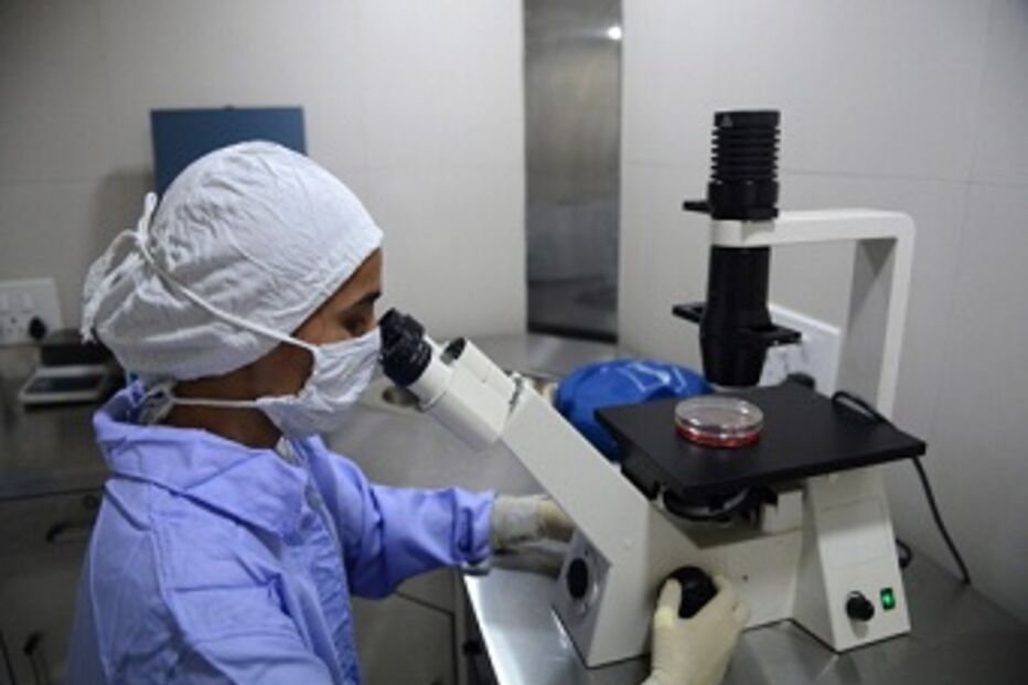 ciência, cientistas, células embrionárias, células adultas, EUA, Japão